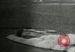 Standbild Polar Bear Jagd Herschel Island Arktischen Ozean, 1915, aus Sekunde 48 historischem Filmmaterial Videoclip 65675020856