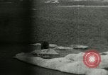 Standbild Polar Bear Jagd Herschel Island Arktischen Ozean, 1915, aus Sekunde 49 historischem Filmmaterial Videoclip 65675020856