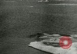 Standbild Polar Bear Jagd Herschel Island Arktischen Ozean, 1915, aus Sekunde 51 historischem Filmmaterial Videoclip 65675020856