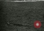 Standbild Polar Bear Jagd Herschel Island Arktischen Ozean, 1915, aus Sekunde 56 historischem Filmmaterial Videoclip 65675020856