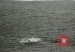 Standbild Polar Bear Jagd Herschel Island Arktischen Ozean, 1915, aus Sekunde 60 historischem Filmmaterial Videoclip 65675020856