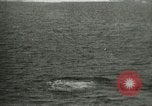 Standbild Polar Bear Jagd Herschel Island Arktischen Ozean, 1915, aus Sekunde 61 historischem Filmmaterial Videoclip 65675020856