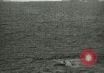 Standbild Polar Bear Jagd Herschel Island Arktischen Ozean, 1915, aus Sekunde 62 historischem Filmmaterial Videoclip 65675020856