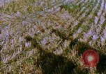 Image of Farm machinery United States USA, 1958, second 3 stock footage video 65675020865