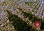 Image of Farm machinery United States USA, 1958, second 4 stock footage video 65675020865