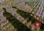 Image of Farm machinery United States USA, 1958, second 5 stock footage video 65675020865