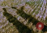 Image of Farm machinery United States USA, 1958, second 6 stock footage video 65675020865