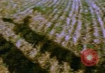 Image of Farm machinery United States USA, 1958, second 7 stock footage video 65675020865