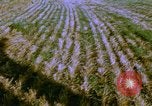 Image of Farm machinery United States USA, 1958, second 8 stock footage video 65675020865