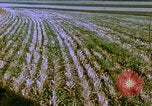 Image of Farm machinery United States USA, 1958, second 9 stock footage video 65675020865
