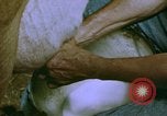 Image of Milk production United States USA, 1958, second 8 stock footage video 65675020868
