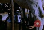 Image of Milk production United States USA, 1958, second 10 stock footage video 65675020868