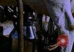 Image of Milk production United States USA, 1958, second 11 stock footage video 65675020868
