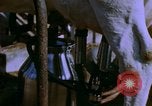 Image of Milk production United States USA, 1958, second 12 stock footage video 65675020868