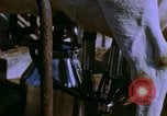 Image of Milk production United States USA, 1958, second 13 stock footage video 65675020868
