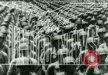 Immagine di Henry Wallace America Latina, 1943, secondo 13 filmato di repertorio 65675020883