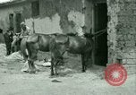 Standbild Französische Fremdenlegion Truppen China, 1945, aus Sekunde 31 historischem Filmmaterial Videoclip 65675020891