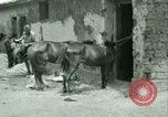 Standbild Französische Fremdenlegion Truppen China, 1945, aus Sekunde 32 historischem Filmmaterial Videoclip 65675020891