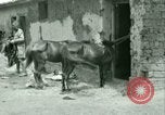 Standbild Französische Fremdenlegion Truppen China, 1945, aus Sekunde 33 historischem Filmmaterial Videoclip 65675020891