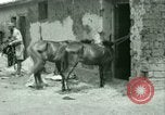 Standbild Französische Fremdenlegion Truppen China, 1945, aus Sekunde 34 historischem Filmmaterial Videoclip 65675020891