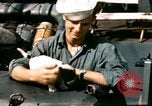Immagine di Puppy in salvagente Regno Unito, 1944, secondo 1 filmato di repertorio 65675020899