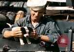 Immagine di Puppy in salvagente Regno Unito, 1944, secondo 3 filmato di repertorio 65675020899