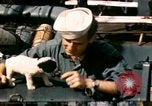 Immagine di Puppy in salvagente Regno Unito, 1944, secondo 5 filmato di repertorio 65675020899