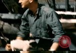 Immagine di Puppy in salvagente Regno Unito, 1944, secondo 6 filmato di repertorio 65675020899