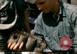 Immagine di Puppy in salvagente Regno Unito, 1944, secondo 9 filmato di repertorio 65675020899