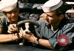 Immagine di Puppy in salvagente Regno Unito, 1944, secondo 14 filmato di repertorio 65675020899