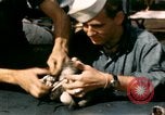 Immagine di Puppy in salvagente Regno Unito, 1944, secondo 20 filmato di repertorio 65675020899