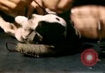 Immagine di Puppy in salvagente Regno Unito, 1944, secondo 25 filmato di repertorio 65675020899