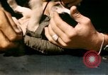 Immagine di Puppy in salvagente Regno Unito, 1944, secondo 26 filmato di repertorio 65675020899