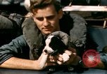Immagine di Puppy in salvagente Regno Unito, 1944, secondo 31 filmato di repertorio 65675020899
