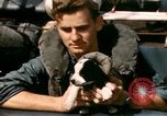 Immagine di Puppy in salvagente Regno Unito, 1944, secondo 32 filmato di repertorio 65675020899