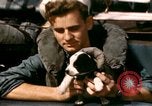 Immagine di Puppy in salvagente Regno Unito, 1944, secondo 33 filmato di repertorio 65675020899