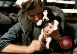 Immagine di Puppy in salvagente Regno Unito, 1944, secondo 35 filmato di repertorio 65675020899