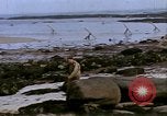 Standbild alliierten Truppen Förderung durch Ruinen und Strand Hindernisse Valognes Frankreich, 1944, aus Sekunde 43 historischem Filmmaterial Videoclip 65675020907