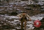 Standbild alliierten Truppen Förderung durch Ruinen und Strand Hindernisse Valognes Frankreich, 1944, aus Sekunde 55 historischem Filmmaterial Videoclip 65675020907