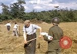 Image of French farmers France, 1944, second 4 stock footage video 65675020910