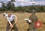 Image of French farmers France, 1944, second 5 stock footage video 65675020910