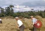 Image of French farmers France, 1944, second 7 stock footage video 65675020910