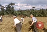 Image of French farmers France, 1944, second 9 stock footage video 65675020910