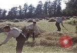Image of French farmers France, 1944, second 22 stock footage video 65675020910