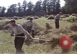Image of French farmers France, 1944, second 23 stock footage video 65675020910