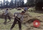 Image of French farmers France, 1944, second 27 stock footage video 65675020910