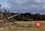 Image of French farmers France, 1944, second 28 stock footage video 65675020910