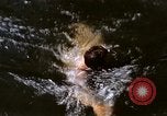 Image of war correspondents France, 1944, second 16 stock footage video 65675020913