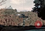 Image of Art galleries France, 1944, second 28 stock footage video 65675020917