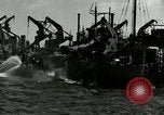 Image of Invasion of Normandy Normandy France, 1944, second 5 stock footage video 65675020938